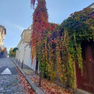Randonnée urbaine dans le 13ème arrondissement