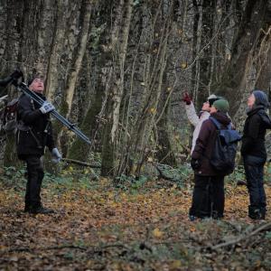 Birdwatching in Paris - Buttes Chaumont Park