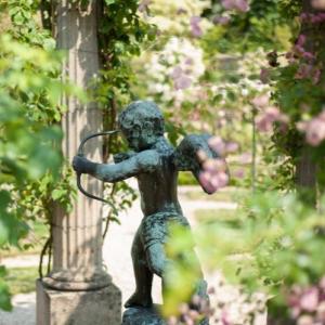 Visite guidée de la roseraie du Val-de-Marne