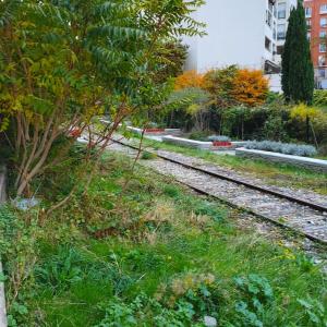 Partez en randonnée et à la découverte du 17ᵉ arrondissement de Paris