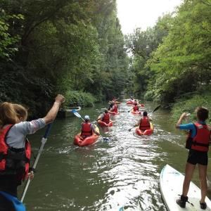 Randonnées en kayak autour des îles de la Marne